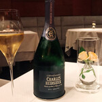 ジョンティ アッシュ - 