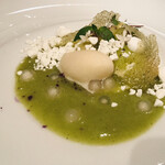 ジョンティ アッシュ - 