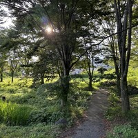 ヴェンティノーヴェ - 