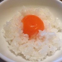 杜氏賛歌 - TKG