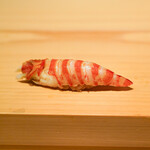 鮨 尚充 - 車海老