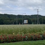 新得そばの館 - 