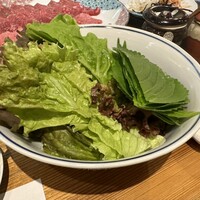 鴨川たかし - 