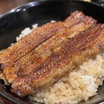 Unagi Hashimoto - 