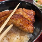 Unagi Hashimoto - 