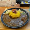 ホールスパイスカレー青藍