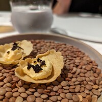 ヴォーロ・コズィ - 