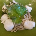 そば喜り よし田 - 揚げ餅おろし 蕎麦アップ