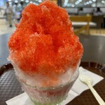 元天ねぎ蛸 - 料理写真: