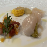 エルルカン・ビス - 