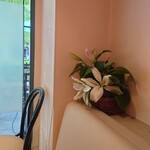 シェフス - 隙間から見える街路樹の緑が映える季節です。