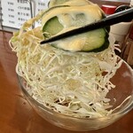 Wakamizu Hanten - 箸休めにサラダ。