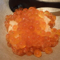 SUSHI TOKYO TEN、 横浜店 - いくら