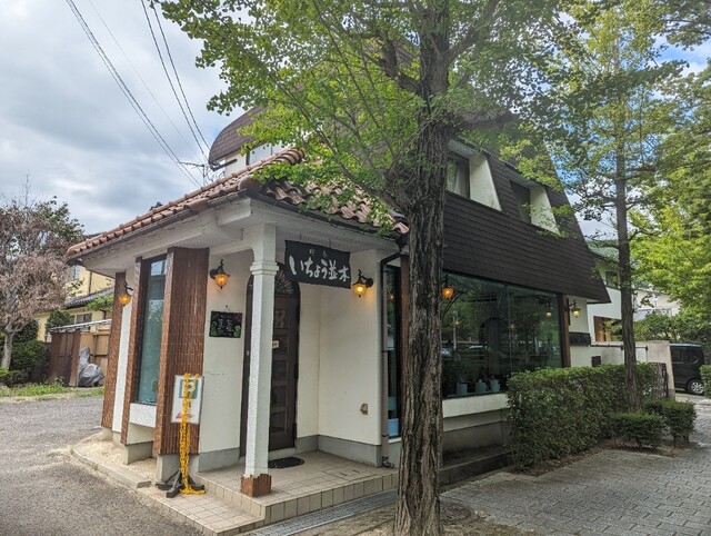 いちょう並木 - 美術館図書館前（喫茶店）の写真