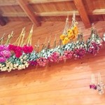 アンズカフェ - 