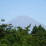 箱根湯宿 然 - 朝：富士山