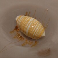 銀座 kappou ukai 肉匠 - 