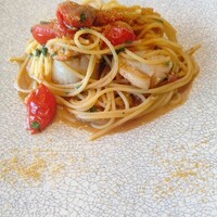 CONNESSO okazaki -  CONNESSO okazaki -