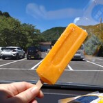 瀞峡めぐりの里 熊野川 - 