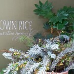 BROWN RICE Tokyo Omotesando - 