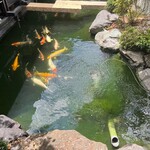 炭焼うな富士 - ❀『中庭』
      
      錦鯉を眺めながら
      美味しい鰻に舌鼓｡⋆*˸*ꕤ˸*✻*.(๓´͈ ˘ `͈๓).*✻*˸ꕤ*˸*⋆｡
      
      