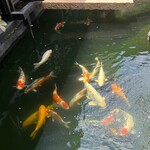 炭焼うな富士 - ❀『中庭』
      
      錦鯉を眺めながら
      美味しい鰻に舌鼓｡⋆*˸*ꕤ˸*✻*.(๓´͈ ˘ `͈๓).*✻*˸ꕤ*˸*⋆｡
      
      