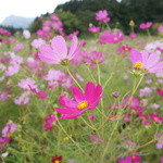うなぎ湯の宿 旬樹庵 琢ひで - 