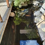 常磐ホテル - 池