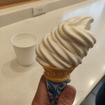 マクドナルド - 受け取った時既に溶け気味だった…ソフトクリームから湯気のようなモヤモヤが出てた(^_^;)暑さがよく分かる(^_^;)氷水も貰った。喉乾くから