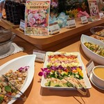 自然食ブッフェ姫蛍 - 