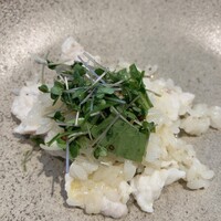 イリエスケープ - 