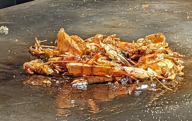 おたふく 佐沼店 - 登米市その他（お好み焼き）の写真