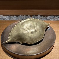 隼 - 