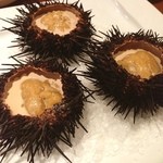 ブル・フォレスタ - 生うにのプリン♪( ´▽｀)