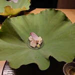 日本料理 木の花 - 