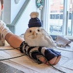 パクチーバル 8889 - 