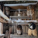 パクチーバル 8889 - 