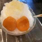 初音 - 氷あんず