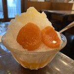 初音 - 氷あんず