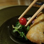 六雁 - マイクロトマト