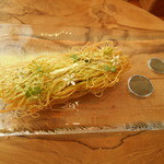 Fujiya 1935 - 白エビ　数種類の豆