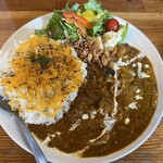 御食事処 濱松屋 - 本日のカレー （南インド風）