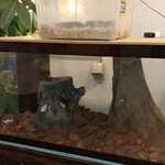 美・食・韓　食道園 - 