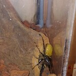 美・食・韓　食道園 - 