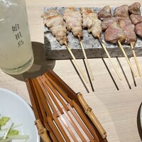 始祖鳥 - 