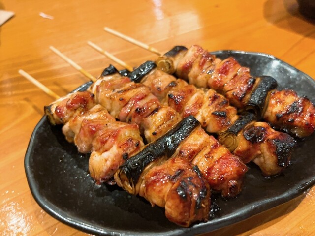 Tori Atsukai Setsumei Sho photo 2