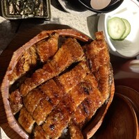炭焼きうなぎ・かしわ 登河 - 