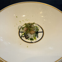 クイントカント - 