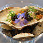 セリュー - ランチコース 9680円 の兵庫 牡蠣 キャビア アオリイカ