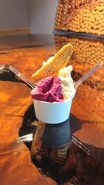 Gelateria Matteo（ジェラテリア マッテオ） - 舞木（ジェラート・アイスクリーム）の写真